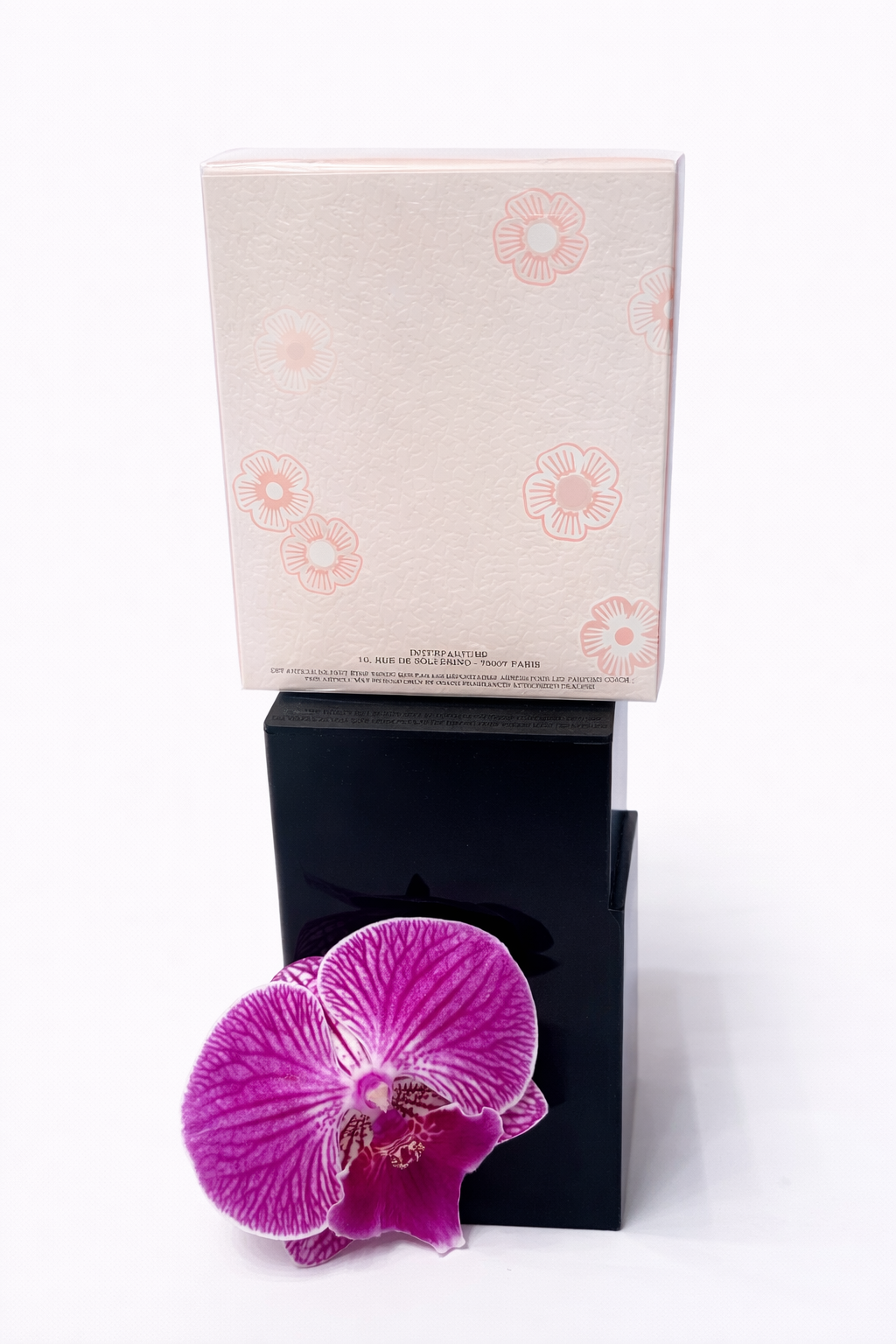 Coach Floral by Coach New York – Eau de Parfum (3.0 oz / 90 ml)