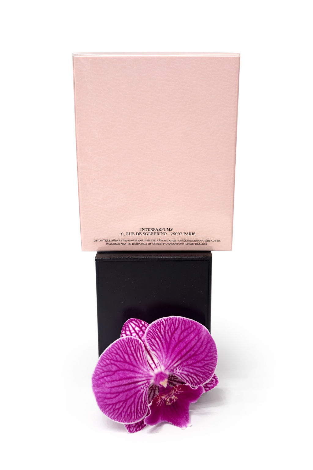 Coach New York – Eau de Parfum (3.0 oz / 90 ml)