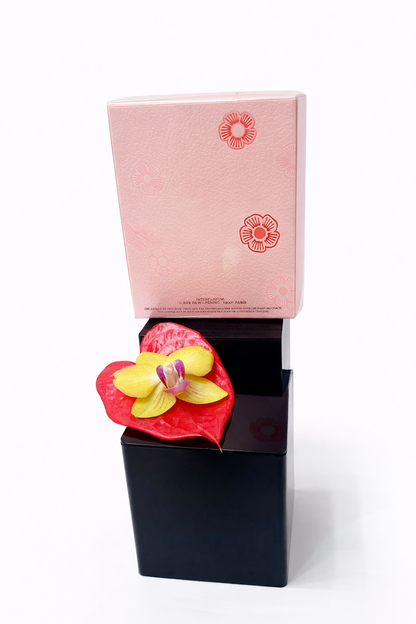 Coach Floral Blush – Eau de Parfum (3.0 oz / 90 ml)